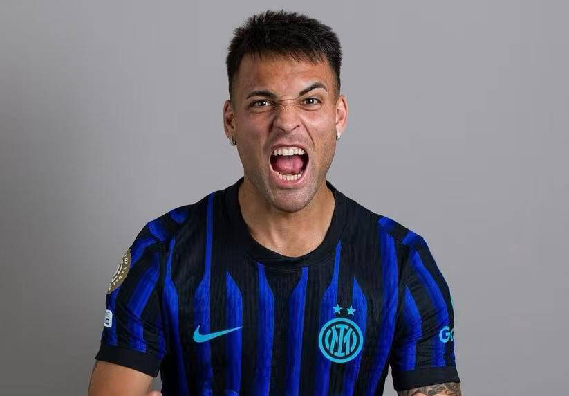 的鲜明对照 的鲜明对照