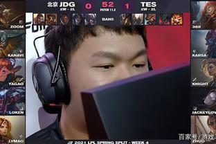 的结论